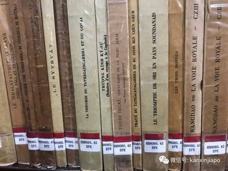 新加坡学者:中国有效控制疫情是对人权的保护