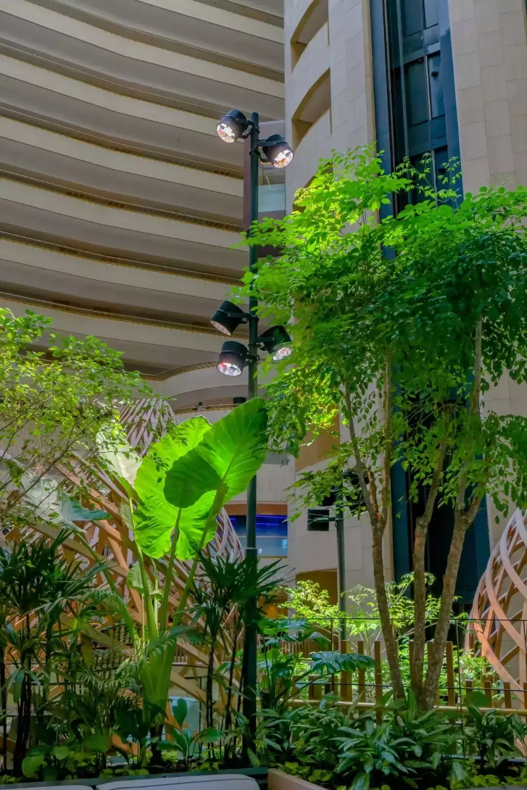 拥有2400多种植物,还有小鸟生活,新加坡这家酒店太美