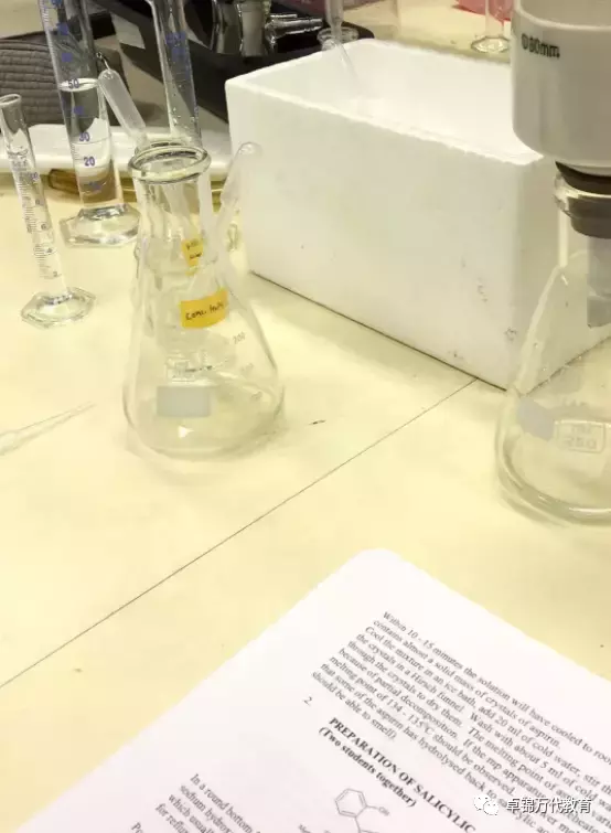 学生故事 从新加坡到日本,探索生物医学之路