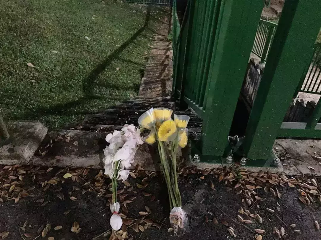 最新跟進！新加坡男童雙屍案，親生父親涉謀殺被捕