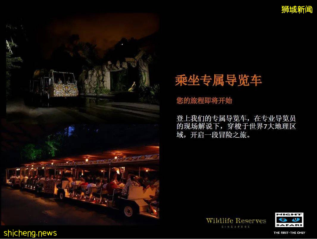 新加坡 中秋節野生動物之夜!酷炫探險~帳篷晚餐~賞月之旅