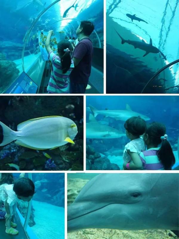 浪起來,新加坡水上運動大盤點