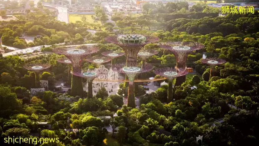 公平分担诈骗损失！新加坡金融管理局推出相关管理框架，并提醒如何保障资金安全