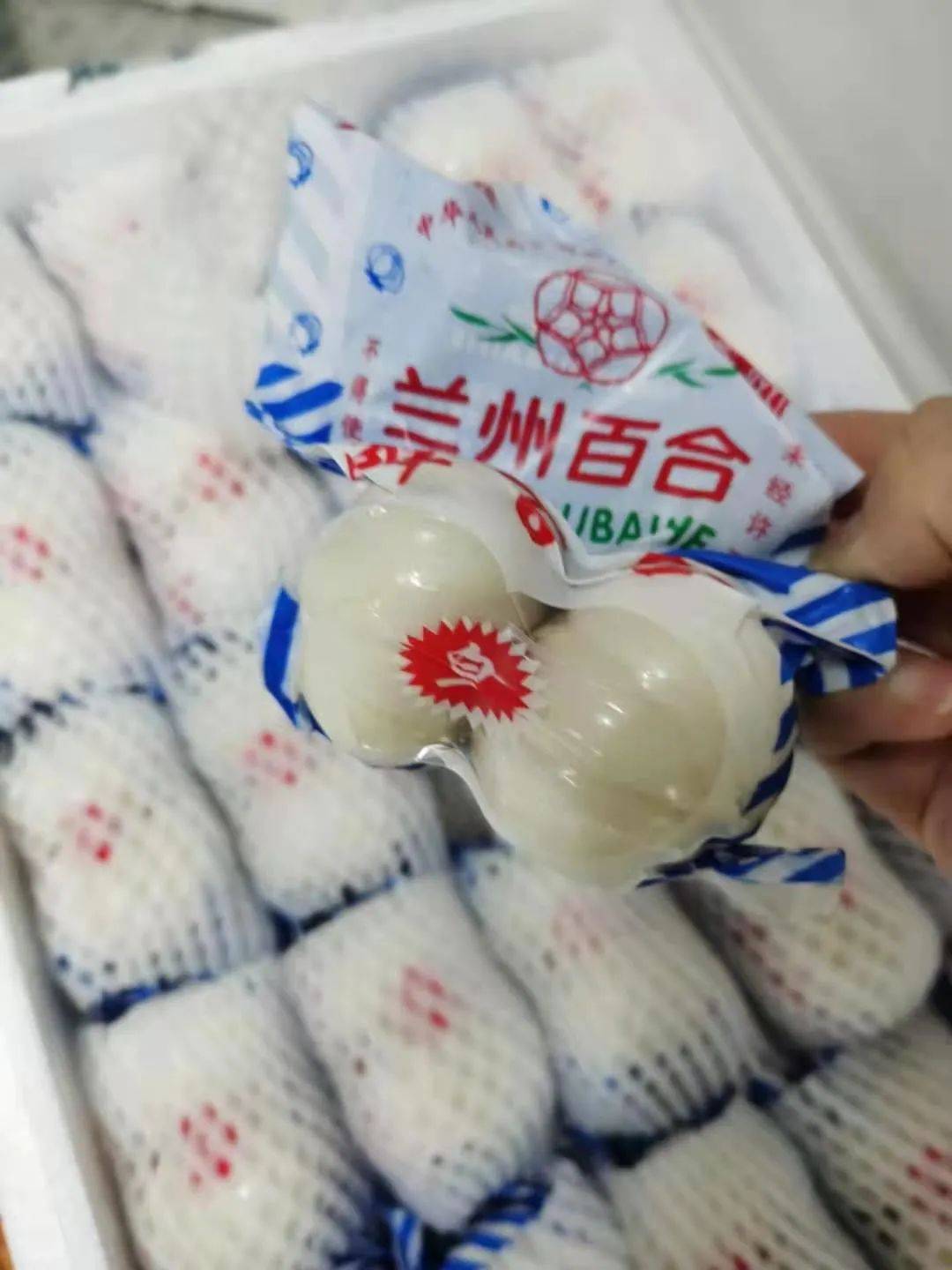 21號新貨到！！！貴妃芒，甯夏菜心，雪裏紅，新鮮百合，新鮮春筍….全國各地新鮮果蔬盡在獅城生鮮直購