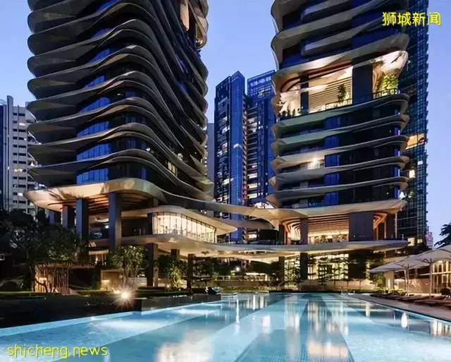 发达的新加坡，竟然随处可见小动物！新加坡冷知识（精选集）