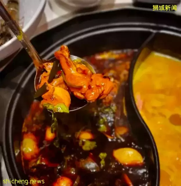 【周末去哪】超超超好逛的日本“宜家”!複活節下午茶!榴梿自助又回來啦