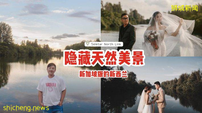 沿着Seletar North Link走、发现新加坡版的新西兰🤭幽静湖泊+青翠大树，纯天然美景大公开🌳