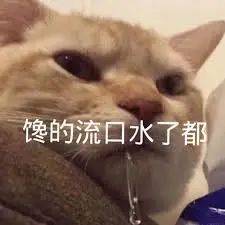 真香!杨铭宇黄焖鸡米饭上线小坡岛外卖