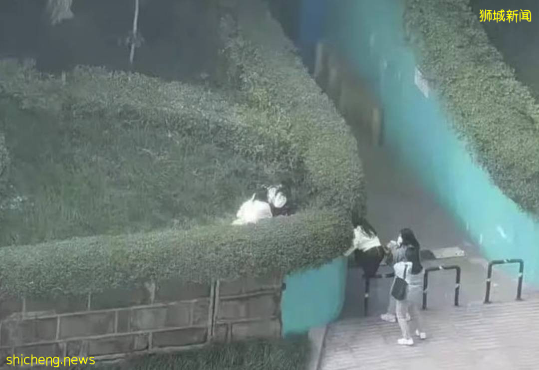 中國駐新加坡大使館最新通知！有人回國瞞報、不閉環隔離、違法中介