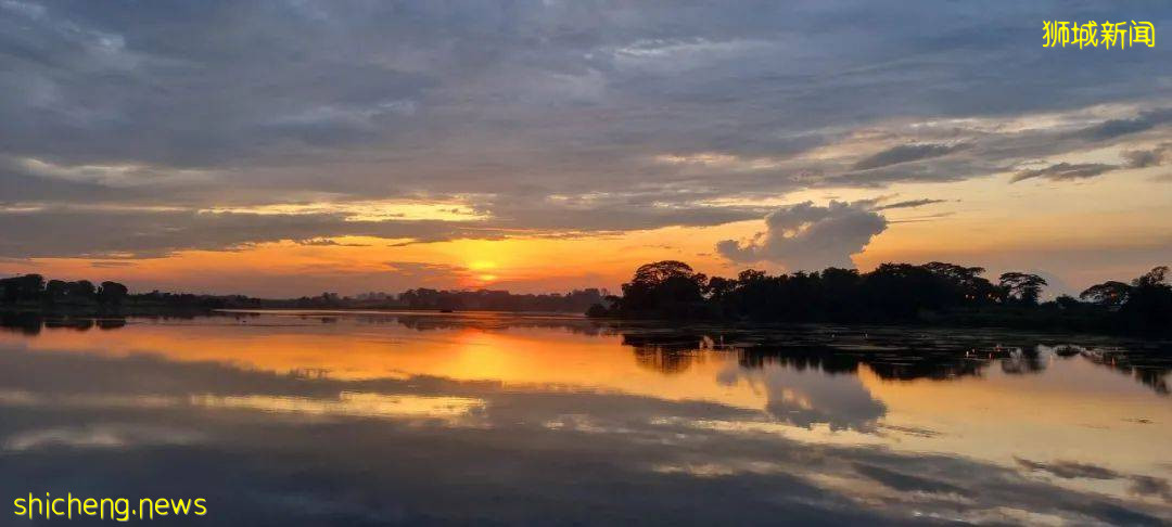 新加坡“遇襲”圖片遭瘋傳，驚現末日場景！魚尾獅斷頭、大樓被腰斬、市中心傾塌成廢墟