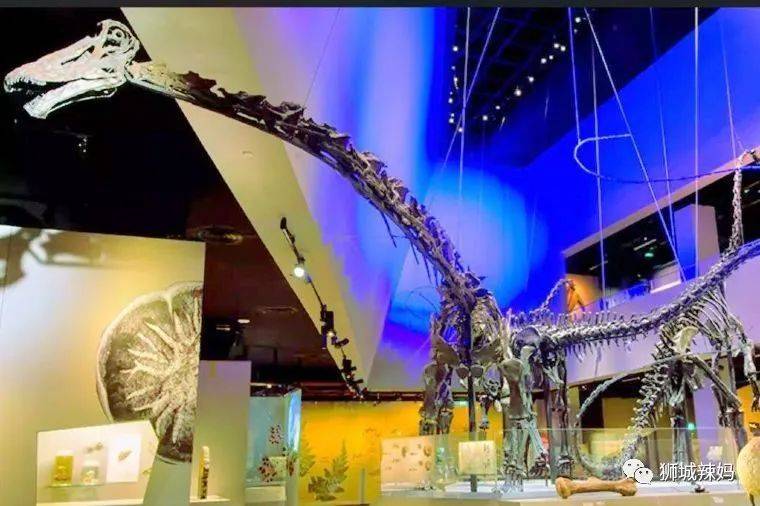 【春節去哪】免費電影票，15部賀歲大片，24小時最美書店，自助餐買1送1，high起來