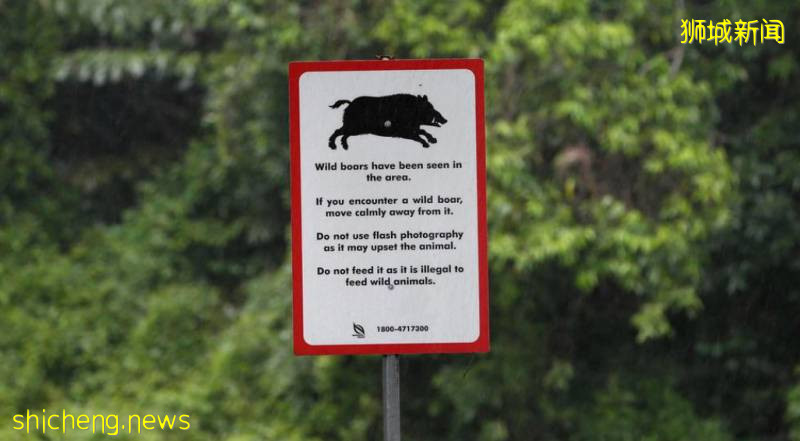 解封後，新加坡有“一對情侶”在馬路上沒戴口罩，公然擁抱!