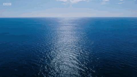 全球氣候變暖加劇！若持續上升1.5℃，新加坡濱海灣花園將被淹沒