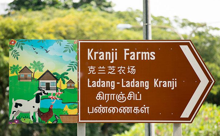 没去过新加坡的这些农场，你就是“山龟”！