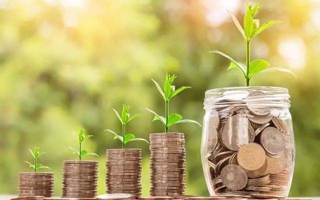 新加坡儲蓄保險簡介