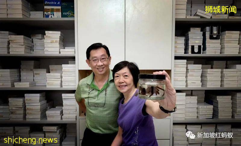 他是外交家也是昆蟲專家 新加坡的“蜘蛛俠”獲頒環境最高獎