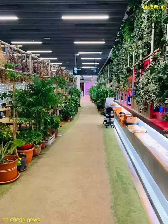 吃遍新加坡 第43期:藝術感十足的小資Café