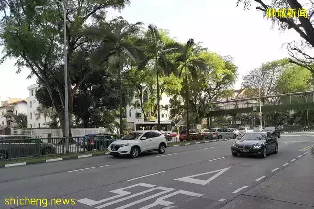 带你认识一个真实的新加坡,当地人的生活,让人很羡慕