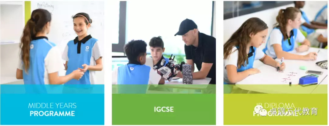 新加坡國際學校 【3】萊仕國際學校Nexus