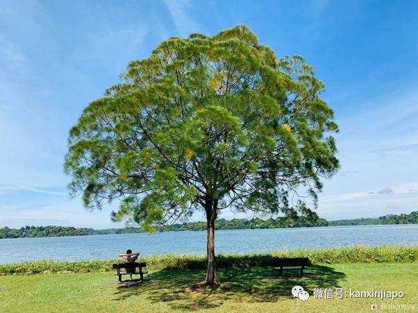 網友親測!新加坡十條經典徒步線路大推薦