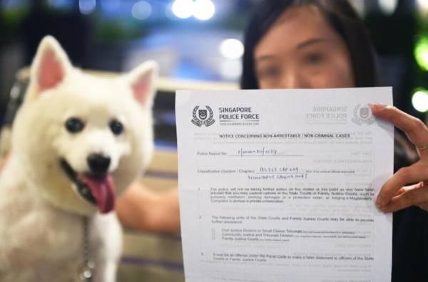 陌生男踢狗反呛女演员 “因为狗像你！”