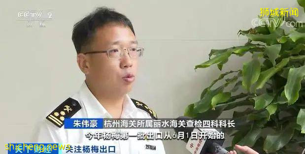 这种国内我们常吃的水果,欧洲10元一颗,狮城客商一口气买两吨