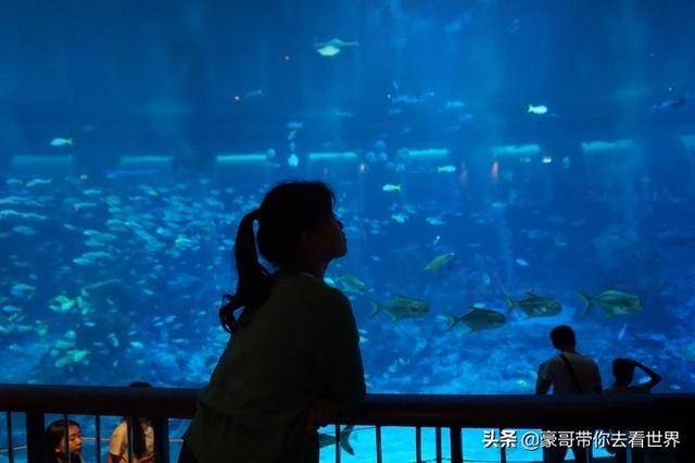 新加坡不枉此行的10大看點（中）分三集介紹