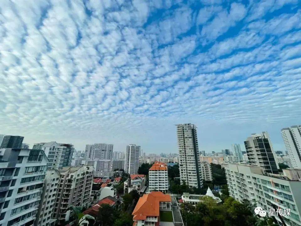 新加坡絕美魚鱗雲刷屏朋友圈，網友：美翻了
