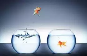 疫情之下,他们在新加坡失去了工作!转身开起了“小卖部”