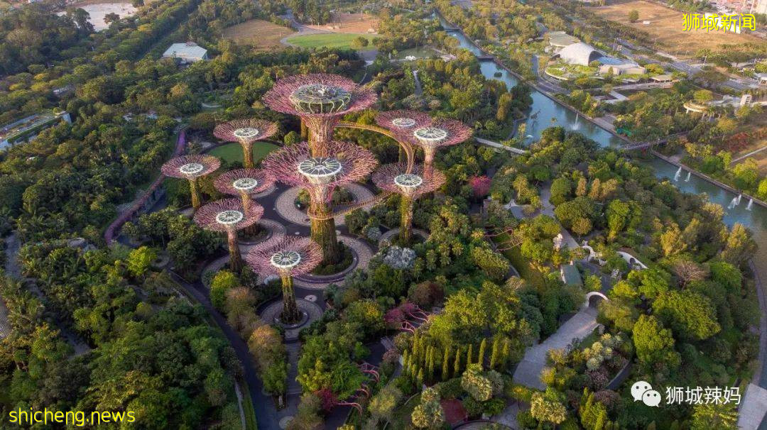 新加坡政府發福利!$1400多/月的國際學校,連奧巴馬夫人都去過