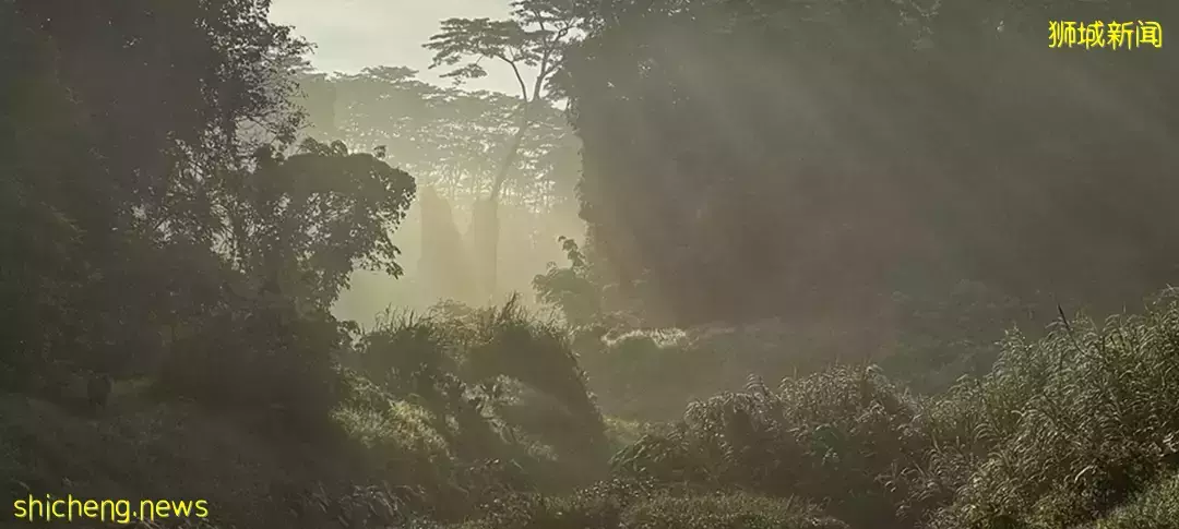 假期出遊 新加坡那些鮮爲人知的“寶藏”勝地