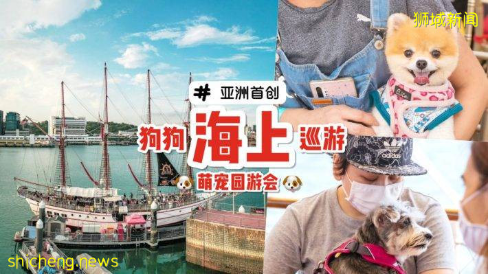 带上宠物去郊游！全亚洲首个“狗狗巡游”就在Royal Albatross⛵️萌宠陪你看日落吃大餐🥰