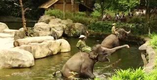 小坡島種草機!春遊野餐正當時,讓大自然治愈你