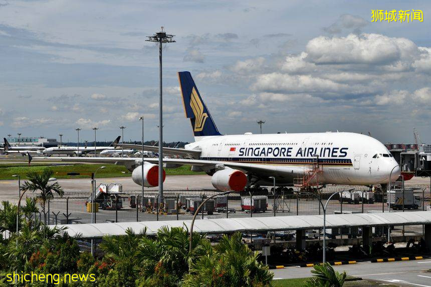 “新澳泡泡”来了!下周或能互免隔离旅游!附机票、酒店价格