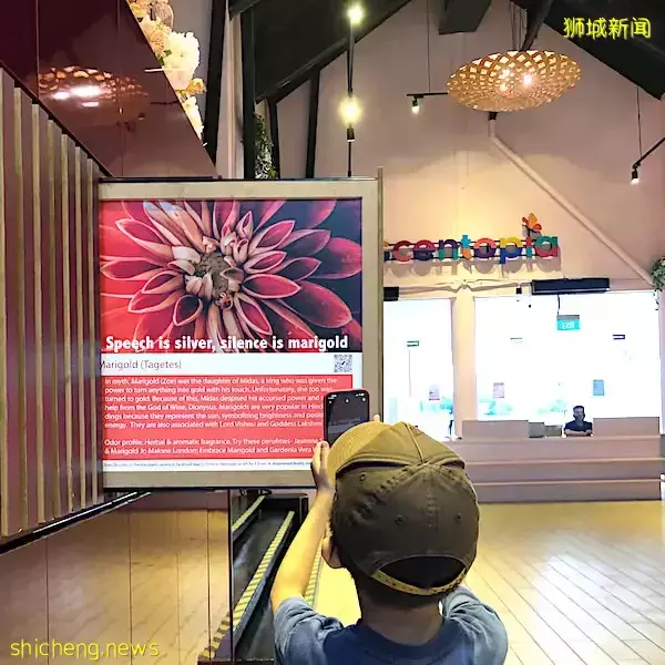 圣淘沙Scentopia个性化香水体验!亲手制作专属香水、学习香水的历史,收获满满~❤️