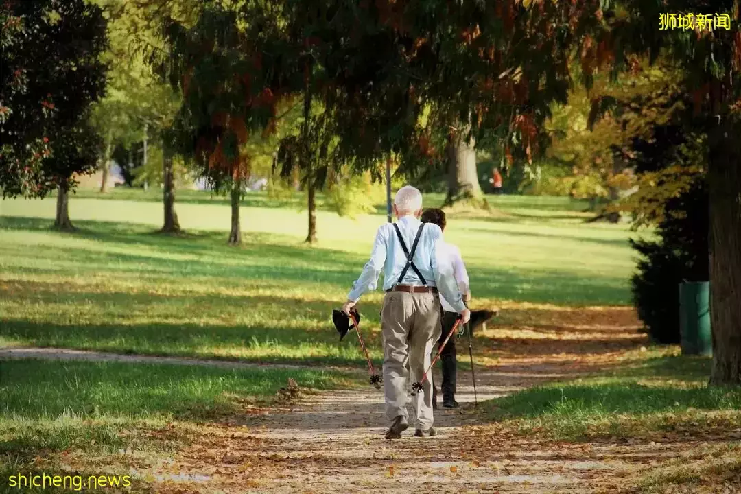 孩子还小，父母已老，身在新加坡的我们未来该何去何从
