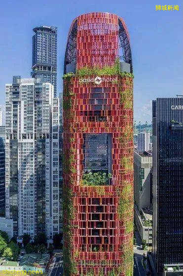 全球最累城市新加坡进前三，到底有多累