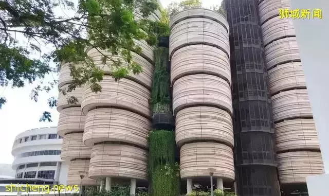 新加坡留學必看 熱門院校彙總