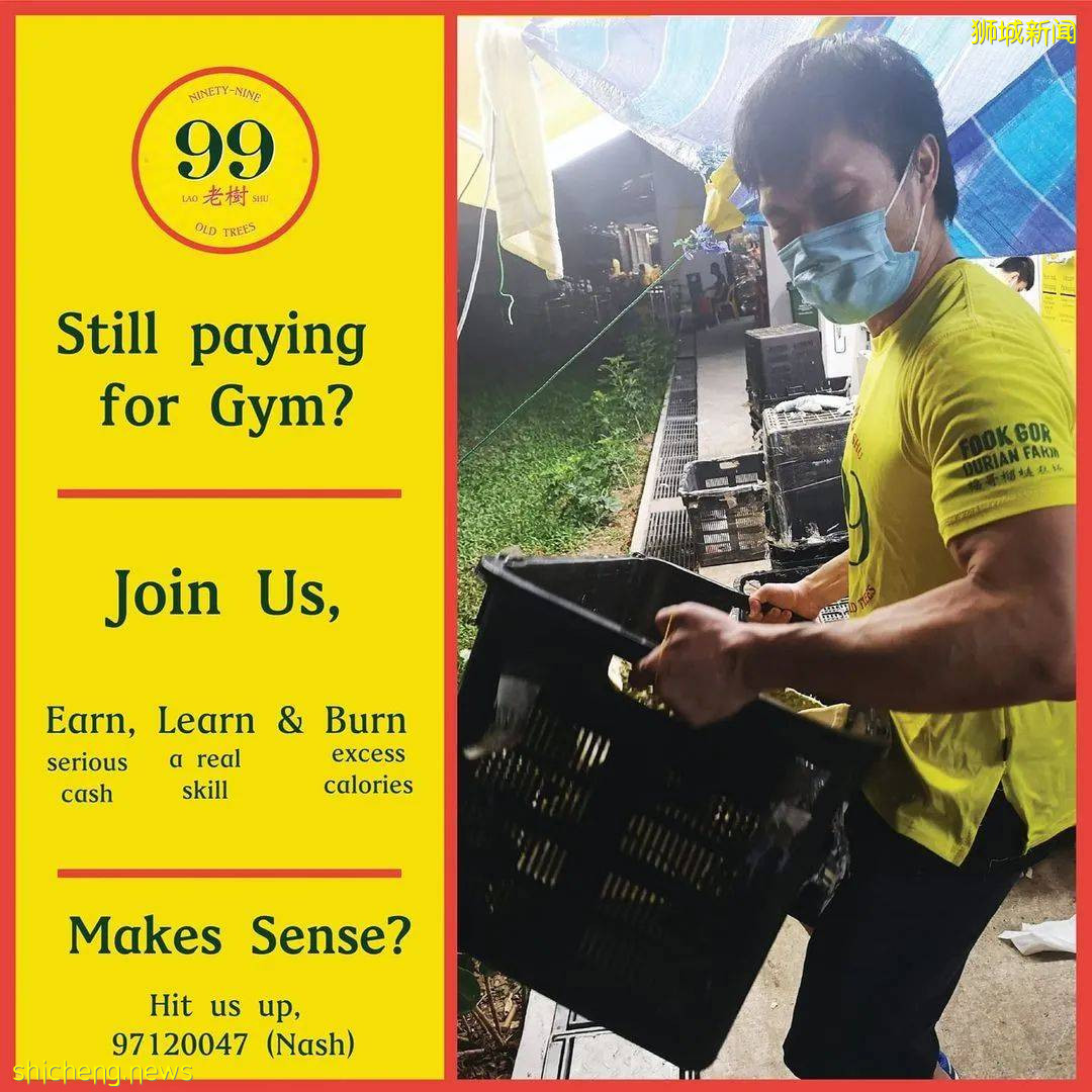 在新加坡花錢健身?不如賣榴梿鍛煉身體,這家店招募猛男