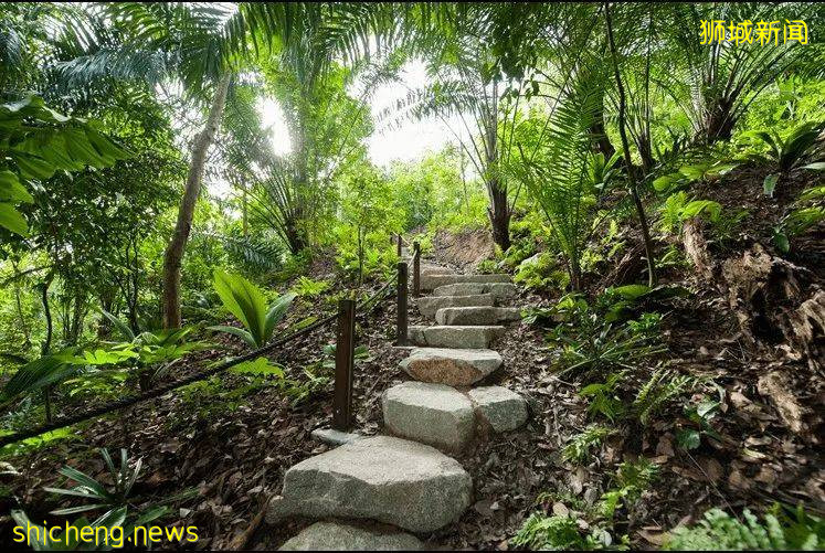 叢林遊樂場、自然博物館、山路徒步……新加坡這個公園翻新後更好玩啦