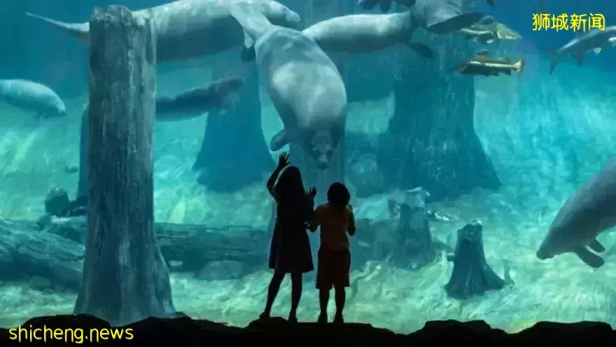 本周折扣!动物园门票五折!宜家儿童免费用餐!Pizza只要$0.99