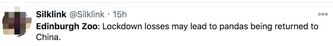 英国计划把大熊猫退回中国,养不起了~“看新加坡的熊猫多好命!”