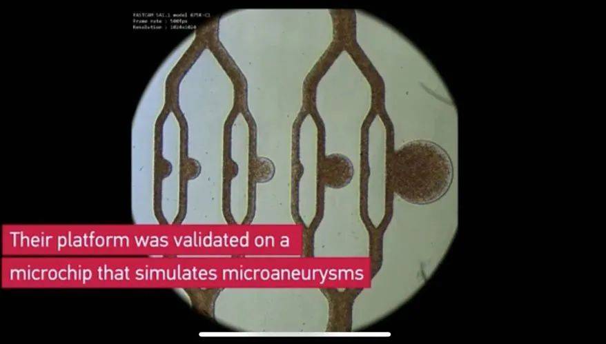 NTU、MIT与布朗大学三校合作