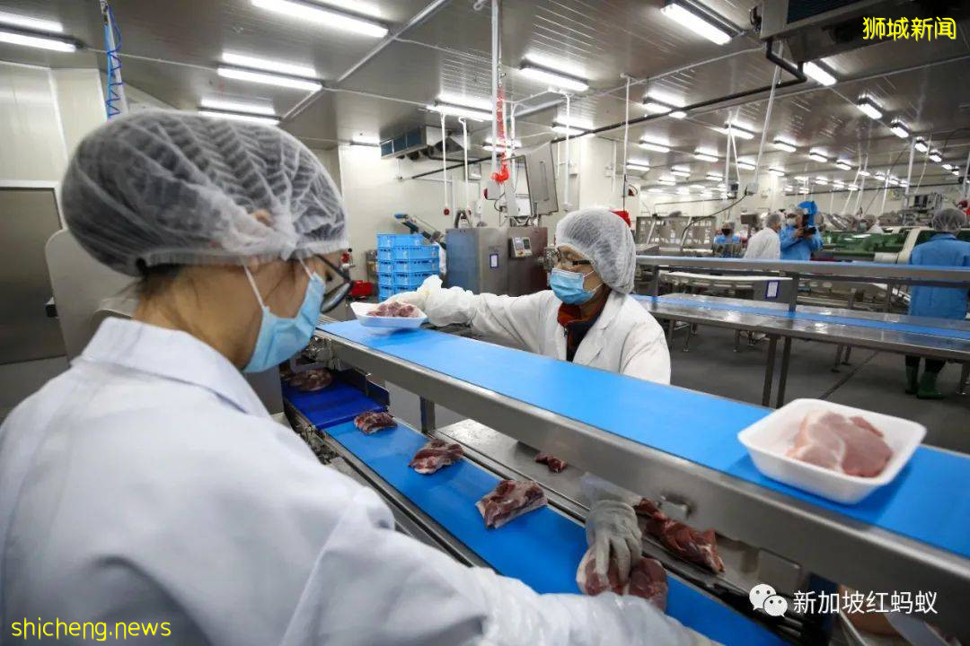 不单保饭碗还添饭? 新加坡工资会建议雇主尽快为低收入员工加薪