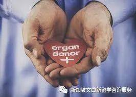 新加坡你不知道的小知識