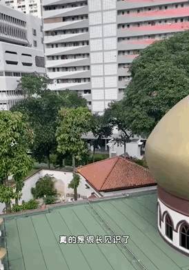 新加坡也有比萨斜塔?!小众打卡地推荐来了