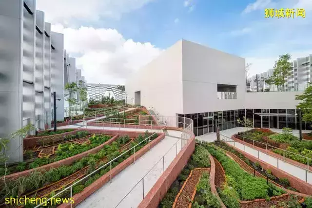 CapitaSpring大楼新加坡最新地标竣工,空中花园开放参观