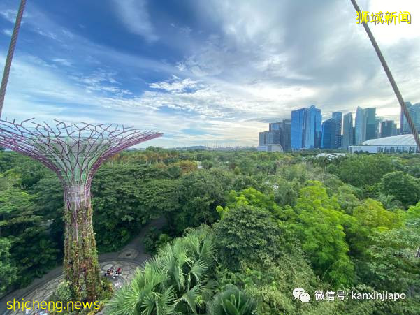 “确诊冠病后,医生开了两款药,我就自己回家了....”