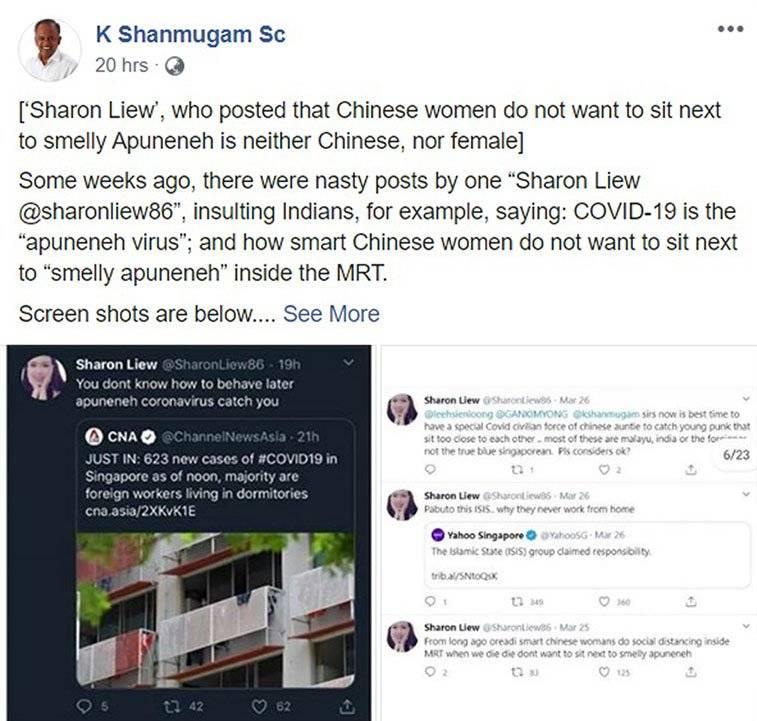 推特发文煽动种族仇恨 新国内长：一定对付他