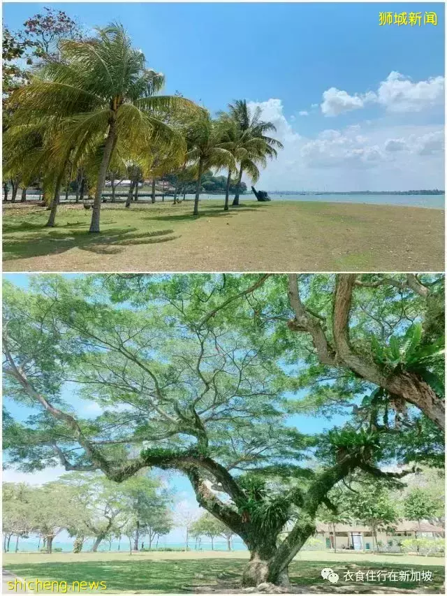 这几个海滩性价比很高,真的不了解一下吗